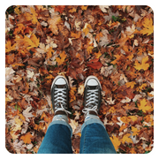 a person's legs, wearing jeans and trainers in lots of colourful autumn leaves.